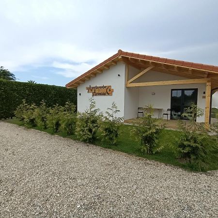 Apartamentos Aronces Cudillero Zewnętrze zdjęcie